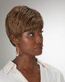Refresh Wig by Natural Image (P)