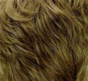 14/88B Honey Blonde, Pale Golden Blonde Highlights