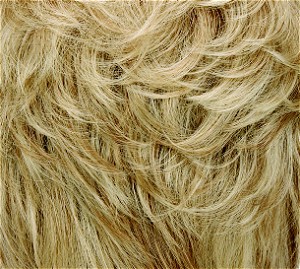 14/88A/A Honey Blonde, Pale Golden Blonde Highlights