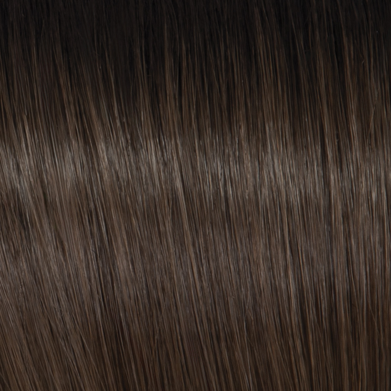 GF10/12SS Shaded Sunlit Chestnut