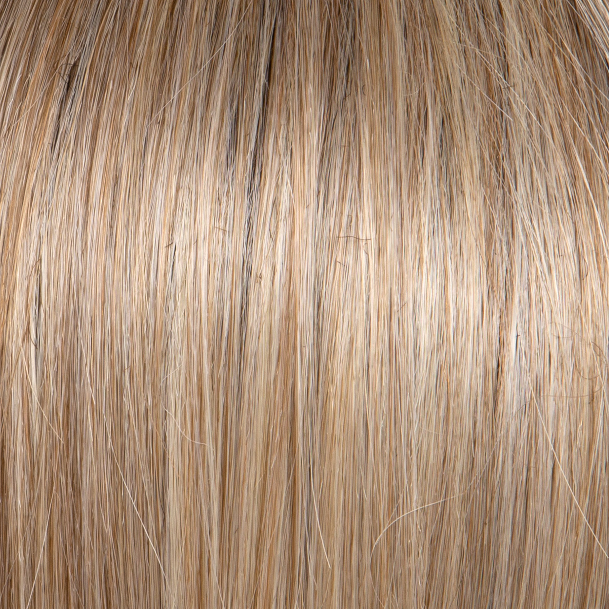 GF19/23SS Shaded Biscuit