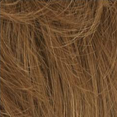 Light Ash Blonde/ Brown18/22B