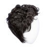 Dignified Wig by Him Hairuwear