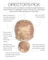 Director's Pick Wig by Raquel Welch Sheer Luxury