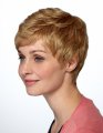 Short Cut Wig by Natural Image