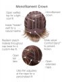 Upper Cut Wig by Gabor