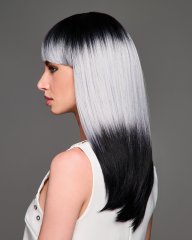 Midnight Moonlight Wig by Hairdo