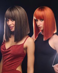 The Fringe Effect Wig by Hairdo